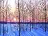 Winter Morning Light